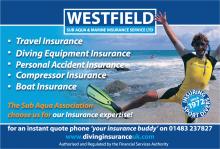 www.divinginsuranceuk.com