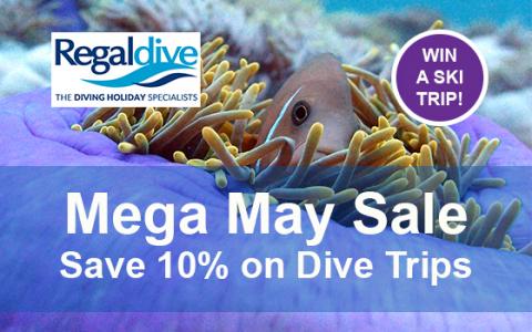 Mega May Sale Regaldive