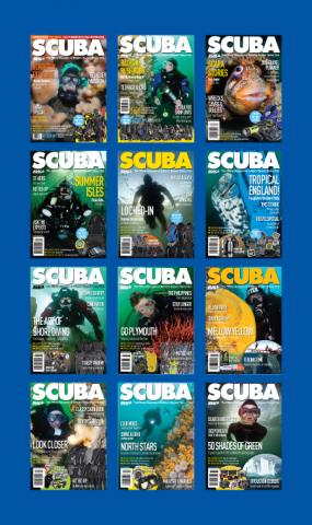 SCUBA year one covers