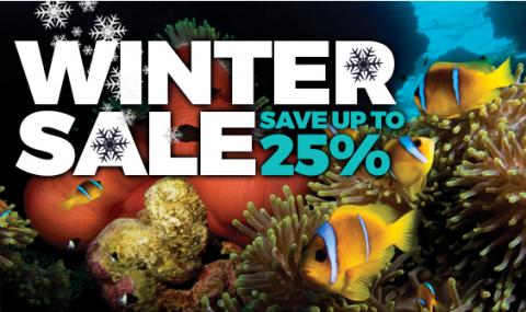 blue o two winter sale