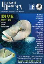 Ultimate Diving